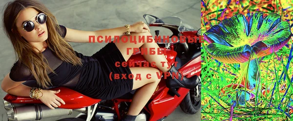 гашик Новокубанск