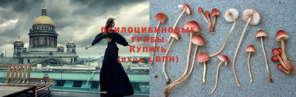 соль курить ск Новодвинск