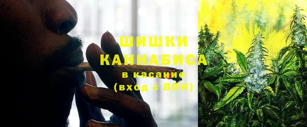 соль курить ск Новодвинск
